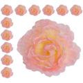 Peonia główka wyrobowa Kwiat Lt.Pink/Cream