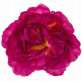 Peonia główka wyrobowa Kwiat Purple/Yellow