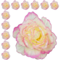 Peonia główka wyrobowa Kwiat Cream/Pink edge