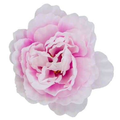 Peonia główka wyrobowa Kwiat Pink/White