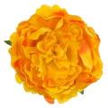 Peonia główka kwiat PIWONIA Yellow/Orange