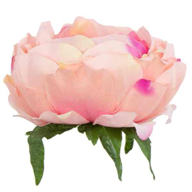 Peonia główka kwiat PIWONIA Peach/Pink
