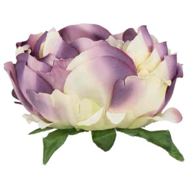 Peonia główka kwiat PIWONIA Violet/Cream