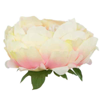 Peonia główka kwiat PIWONIA Cream/Pink/Green