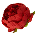 Peonia główka wyrobowa Kwiat Red
