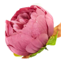 Peonia główka wyrobowa Kwiat Aut Pink