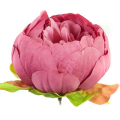 Peonia główka wyrobowa Kwiat Aut Pink