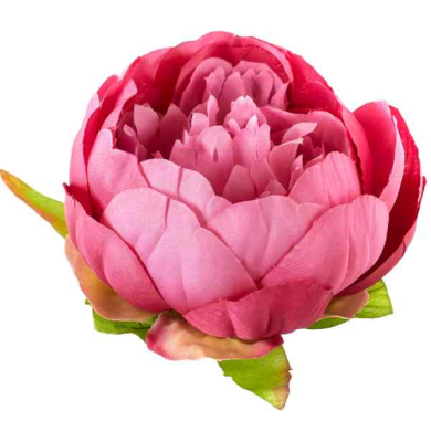 Peonia główka wyrobowa Kwiat Purple