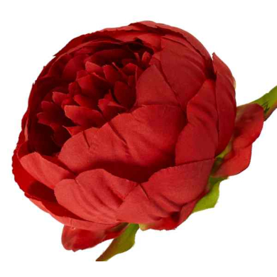 Peonia główka wyrobowa Kwiat Red