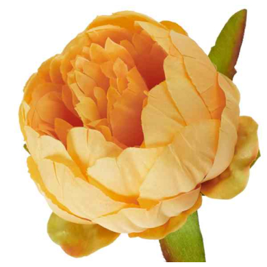 Peonia główka wyrobowa Kwiat Yellow
