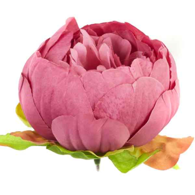 Peonia główka wyrobowa Kwiat Aut Pink