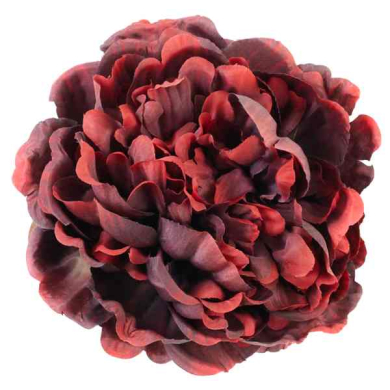 Peonia główka 15 cm piękny KWIAT Burgund