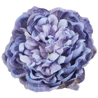 Peonia główka 15 cm piękny KWIAT Blue/Violet