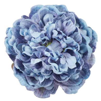 Peonia główka 15 cm piękny KWIAT Blue