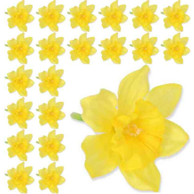 ŻONKIL główka mini kwiat yellow