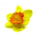 ŻONKIL główka kwiat yellow/red 24 szt