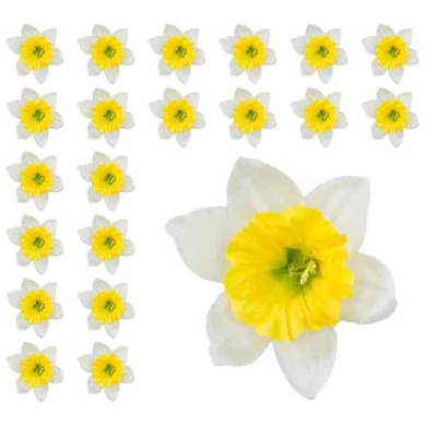 ŻONKIL główka kwiat cream/yellow 24 szt