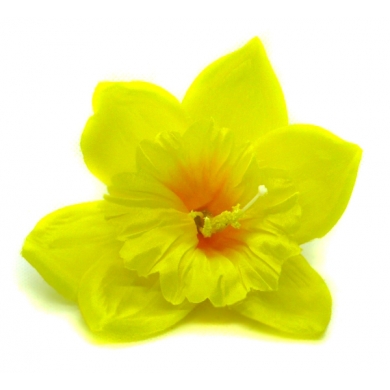 ŻONKIL główka kwiat yellow 24 szt