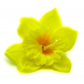ŻONKIL główka kwiat yellow