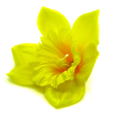 ŻONKIL główka kwiat yellow