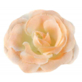 Róża główka 12 szt 4cm Peach