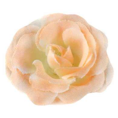 Róża główka 12 szt 4cm Peach