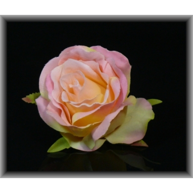 GR280 Róża - główka Pink/Yellow