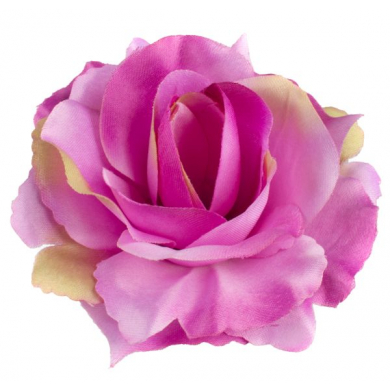 Róża satynowa główka Purple/Green edge
