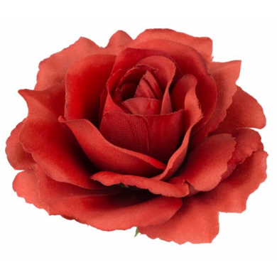 Róża satynowa główka Dirthy Red
