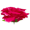 Róża satynowa główka Dk.Pink 16 cm