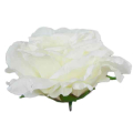 Róża satynowa główka Cream 16 cm