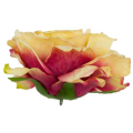 Róża satynowa główka Yellow / Burgund 16 cm