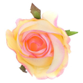 Róża w pąku - główka kwiat Yellow/Pink