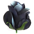 Róża w pąku - główka kwiat Black