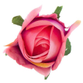 Róża w pąku - główka kwiat Tt.Pink/Green edge