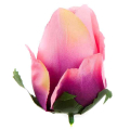 Róża w pąku - główka kwiat Tt.Pink/Green edge