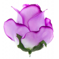 Róża w pąku - główka kwiat Lilac