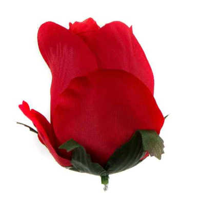 Róża w pąku - główka kwiat Red