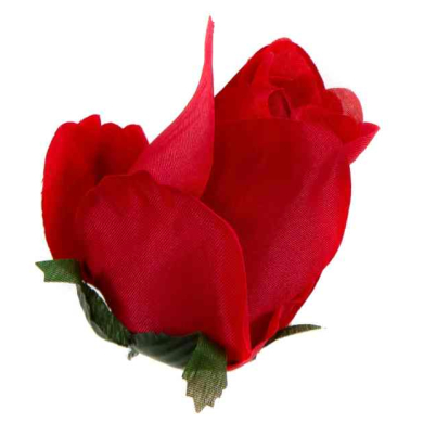 Róża w pąku - główka kwiat Red