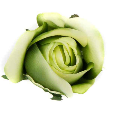 GR316 Róża w pąku - główka Green