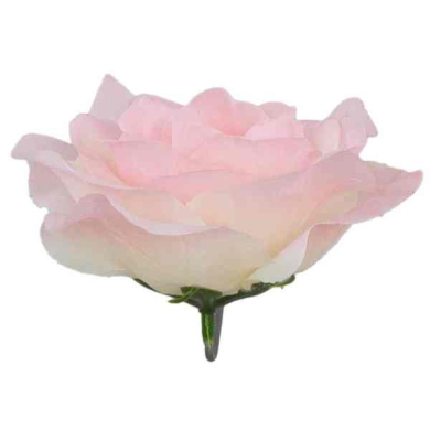 Róża francuska główka Lt.Pink