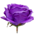Róża główka wyrobowa Kwiat Dk.Purple