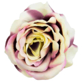 Róża główka wyrobowa Kwiat Cream/dk.plum
