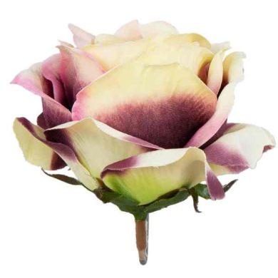 Róża główka wyrobowa Kwiat Cream/dk.plum