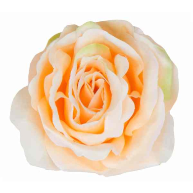 Róża główka Kwiat Sunny Peach/Green