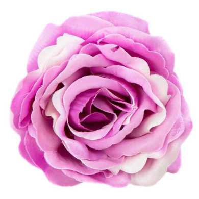 Róża główka wyrobowa Kwiat Pink/Cream