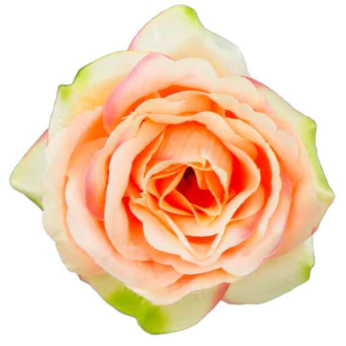 Róża główka wyrobowa Kwiat Peach/Coral/Green