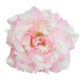Róża satynowa DUŻA Śliczna główka Pink / Cream