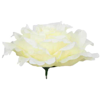 Róża satynowa DUŻA Śliczna główka Cream