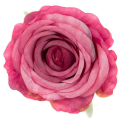 Róża główka satynowa CUDNA Dk.Pink